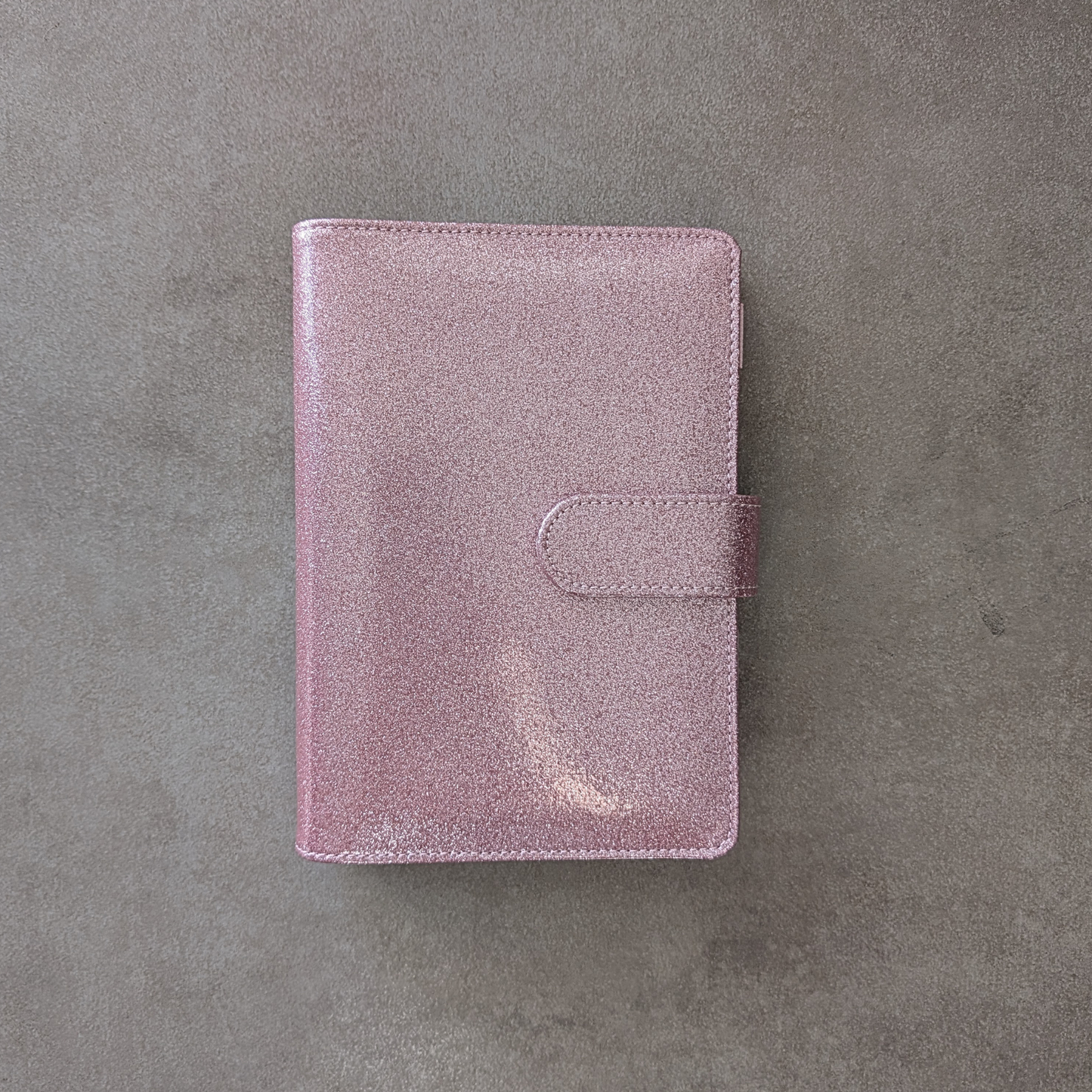 Budget Binder A6 Glitzer