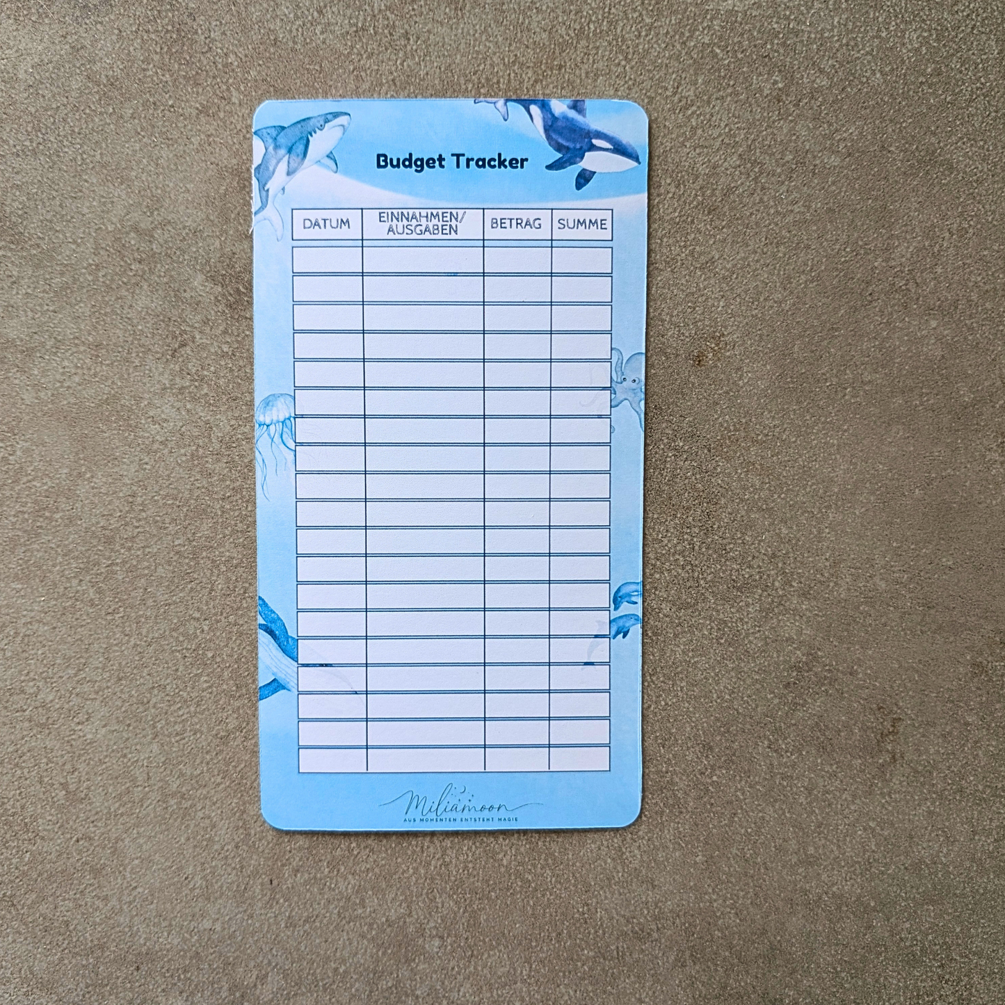 Aris Budget Tracker