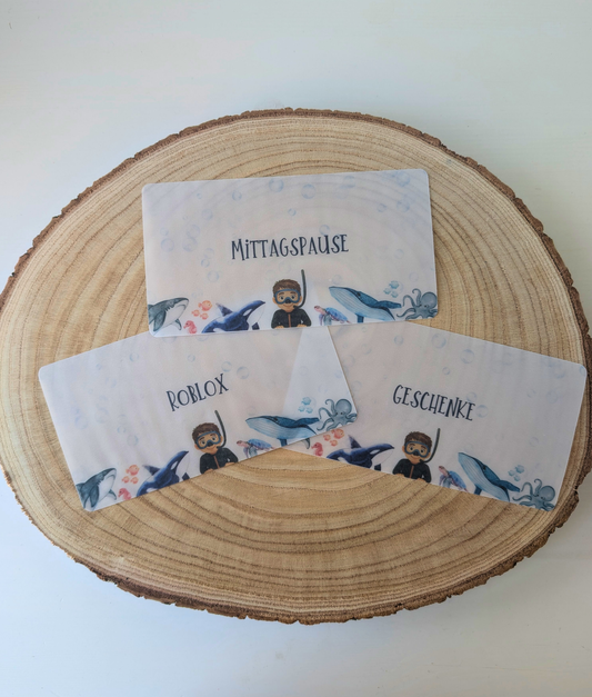 A6 Budget-Dashboards für Kinder – Aris Edition (Frosty Transparent)